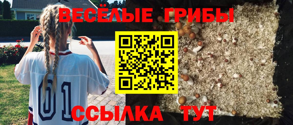 Галлюциногенные грибы мухоморы Владикавказ