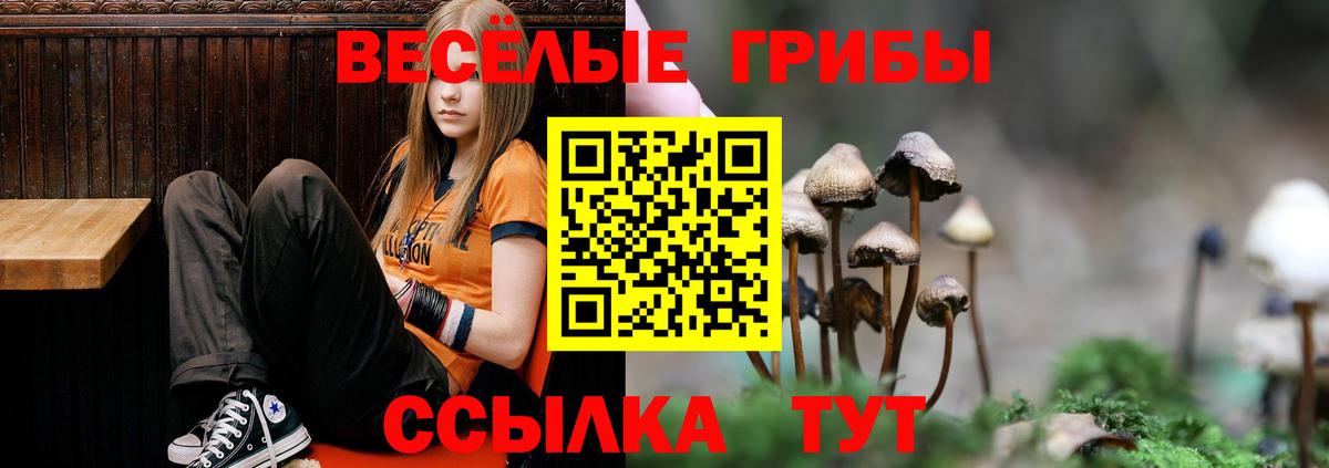 Владикавказ  купить наркотики сайты  Вход с VPN  Псилоцибиновые грибы Magic Shrooms 